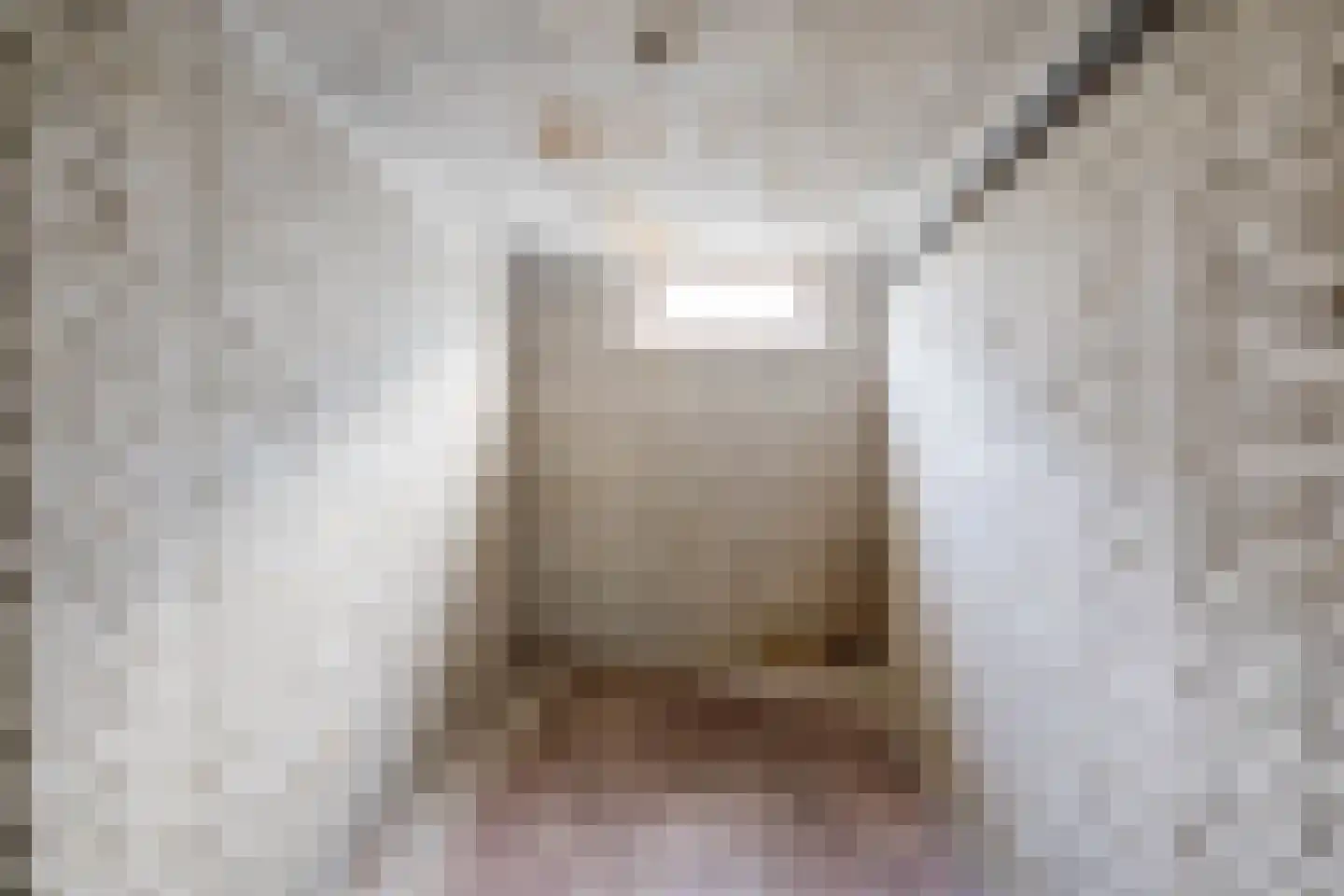 Smaragdhorst 273 Den Haag thumbnail 37
