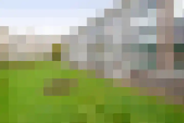 Smaragdhorst 273 Den Haag thumbnail 4
