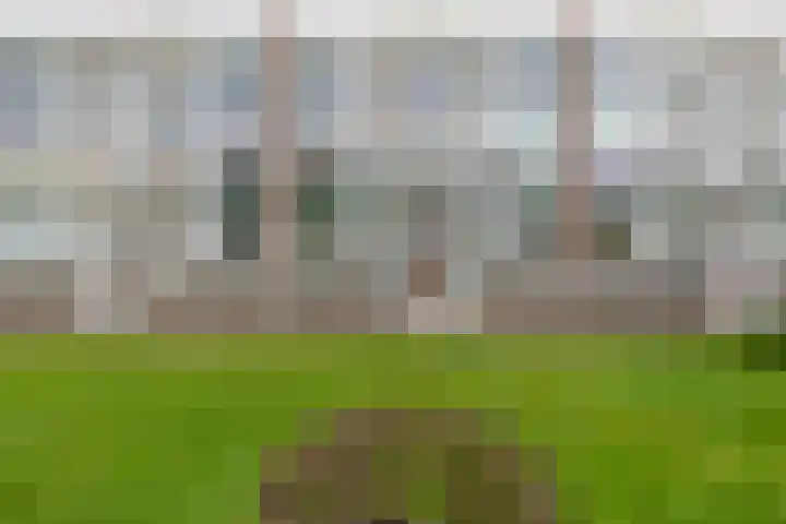 Smaragdhorst 273 Den Haag thumbnail 5