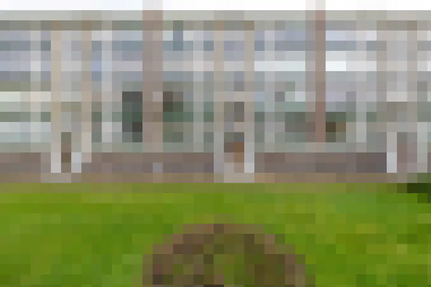 Smaragdhorst 273 Den Haag thumbnail 5