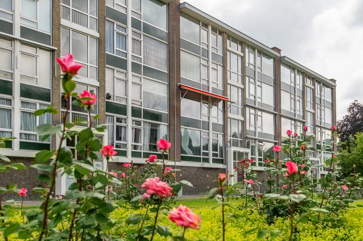 Smaragdhorst 275 dans 's-Gravenhage photo