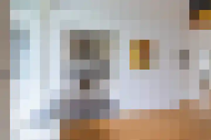 Smaragdhorst 275 Den Haag thumbnail 21