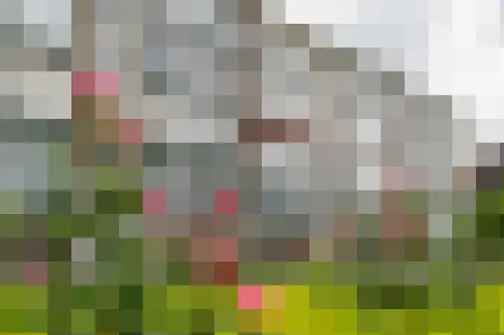 Smaragdhorst 275 Den Haag thumbnail 31