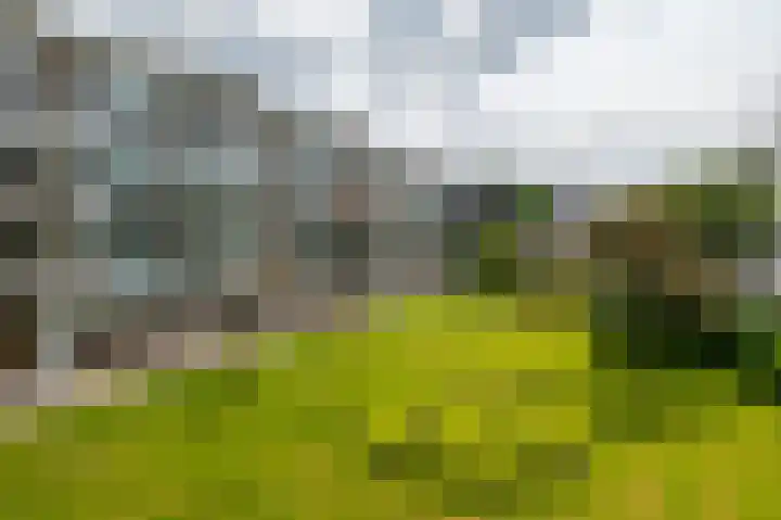 Smaragdhorst 275 Den Haag thumbnail 5