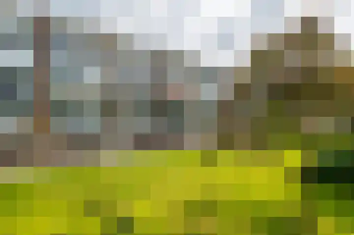 Smaragdhorst 275 Den Haag thumbnail 6