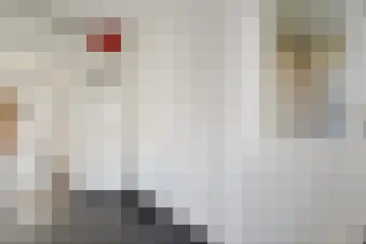 Smaragdhorst 291 Den Haag thumbnail 11