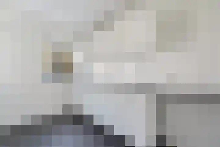 Smaragdhorst 291 Den Haag thumbnail 4