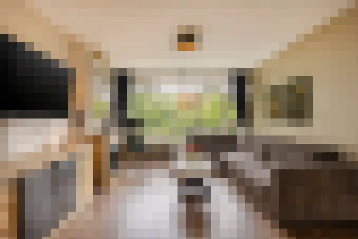 Smaragdhorst 314 Den Haag thumbnail 12