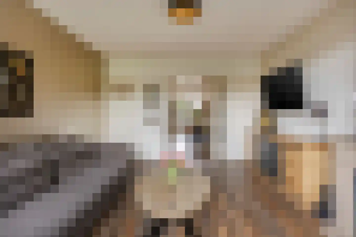 Smaragdhorst 314 Den Haag thumbnail 13