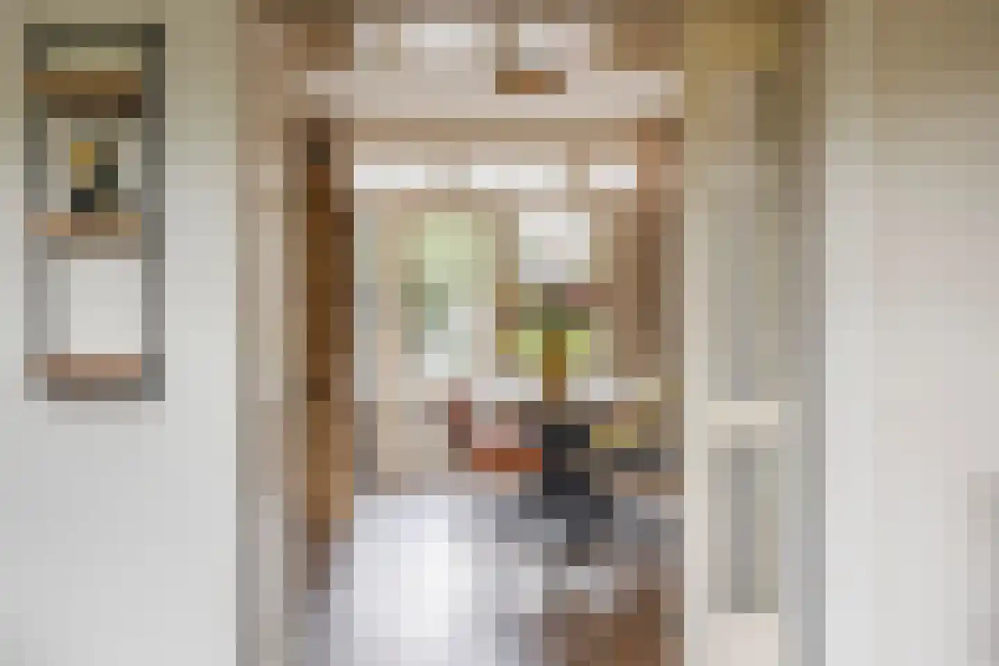 Smaragdhorst 314 Den Haag thumbnail 15