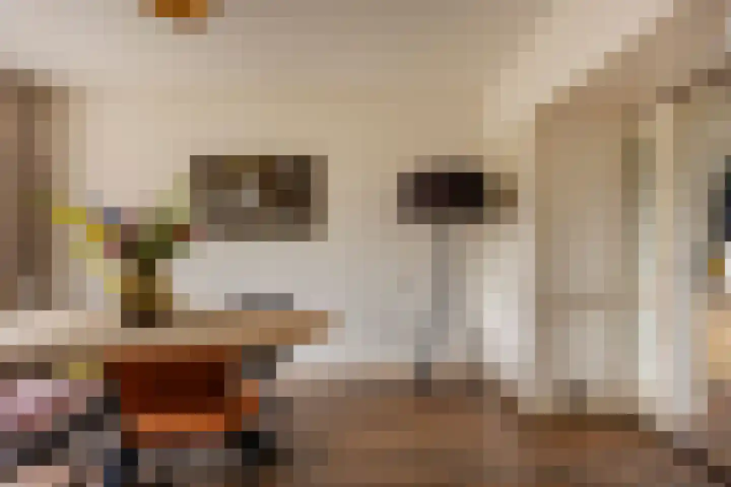 Smaragdhorst 314 Den Haag thumbnail 17