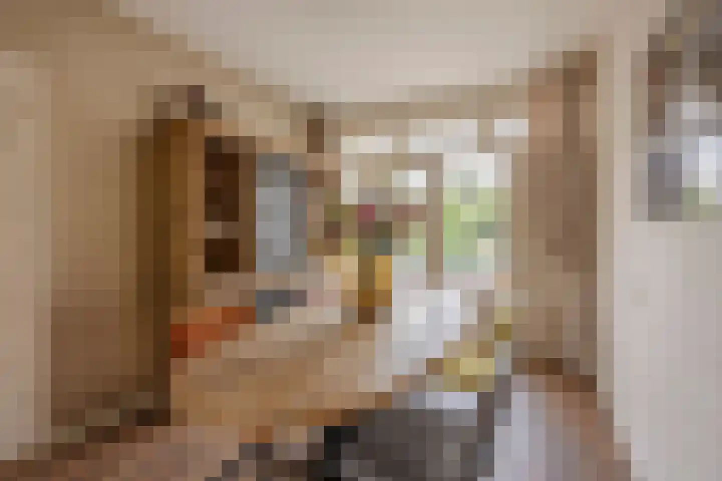 Smaragdhorst 314 Den Haag thumbnail 18