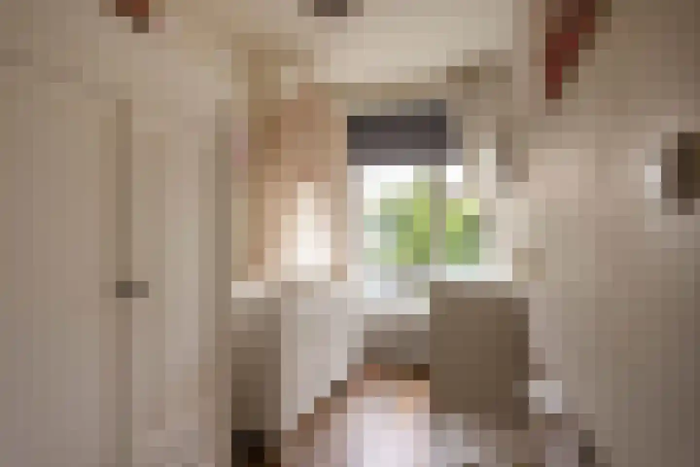 Smaragdhorst 314 Den Haag thumbnail 35