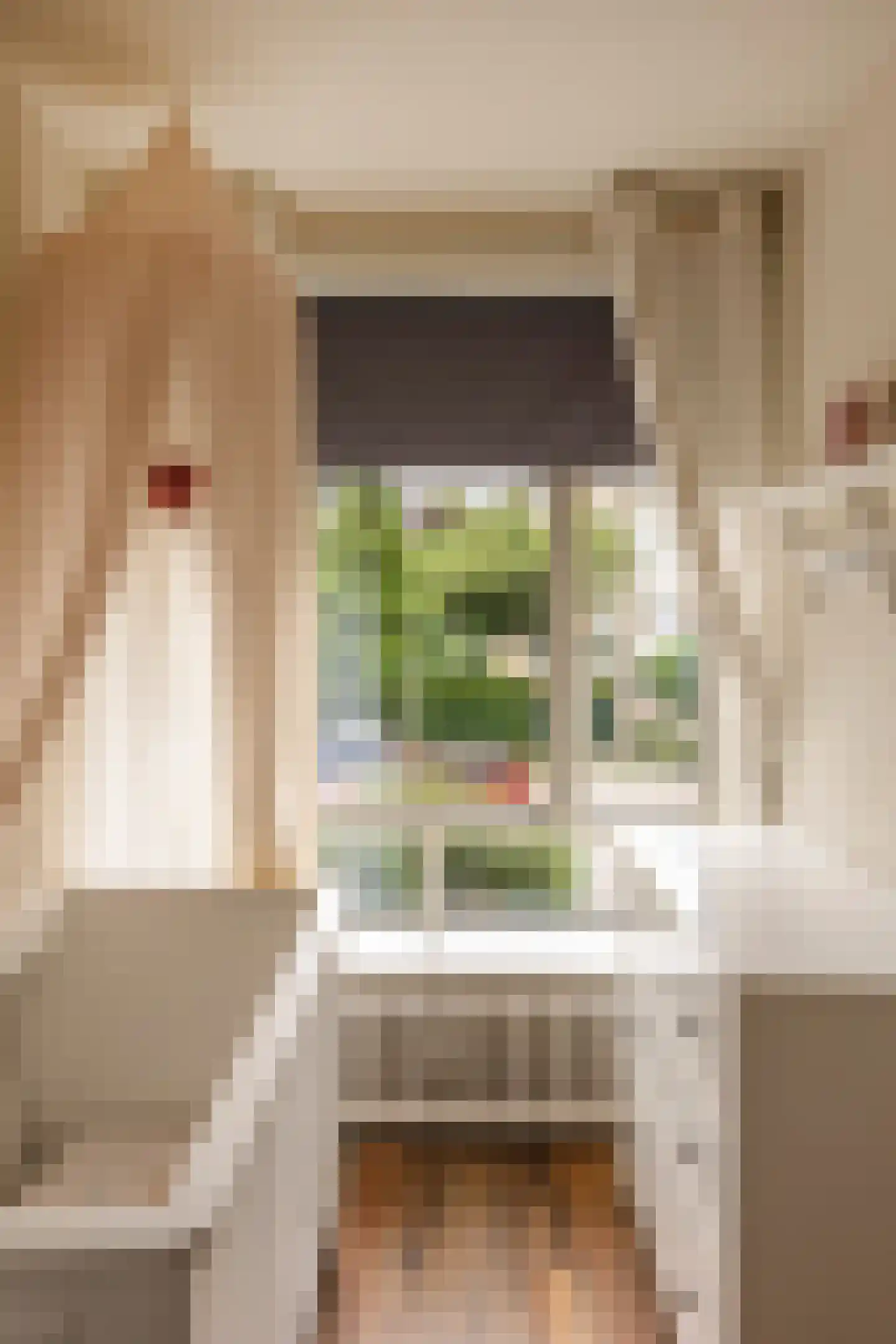 Smaragdhorst 314 Den Haag thumbnail 36