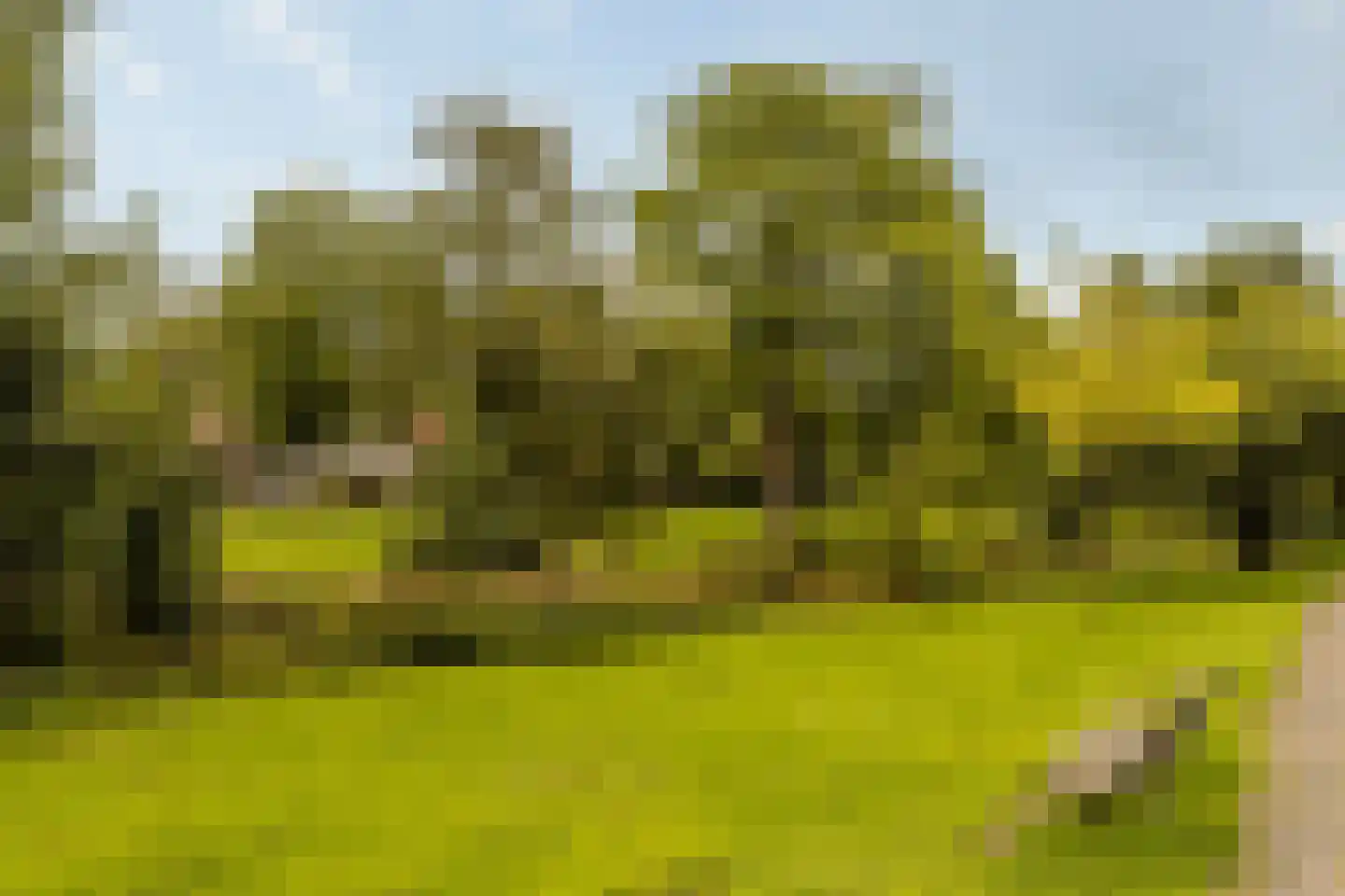 Smaragdhorst 314 Den Haag thumbnail 38