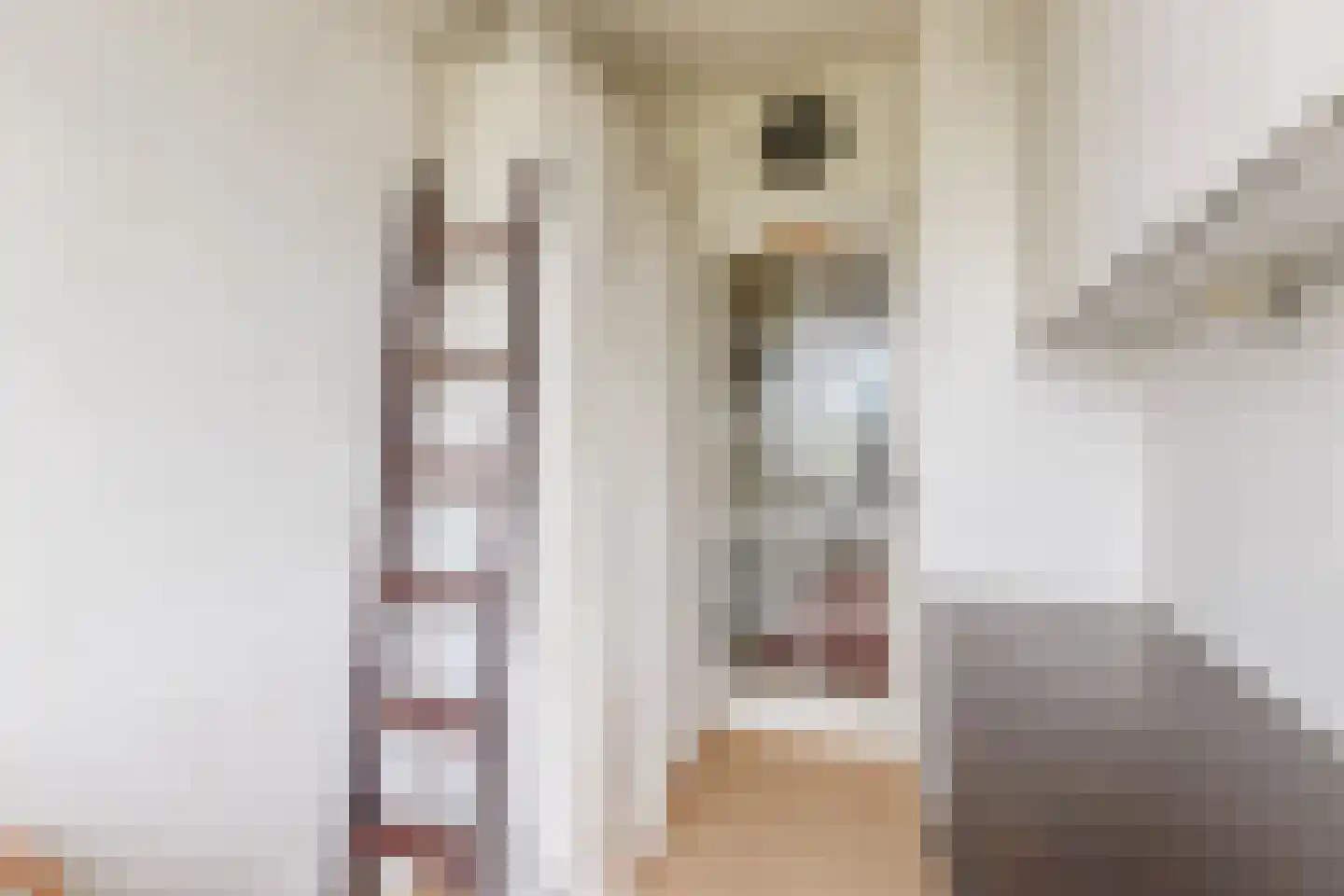 Smaragdhorst 332 Den Haag thumbnail 18