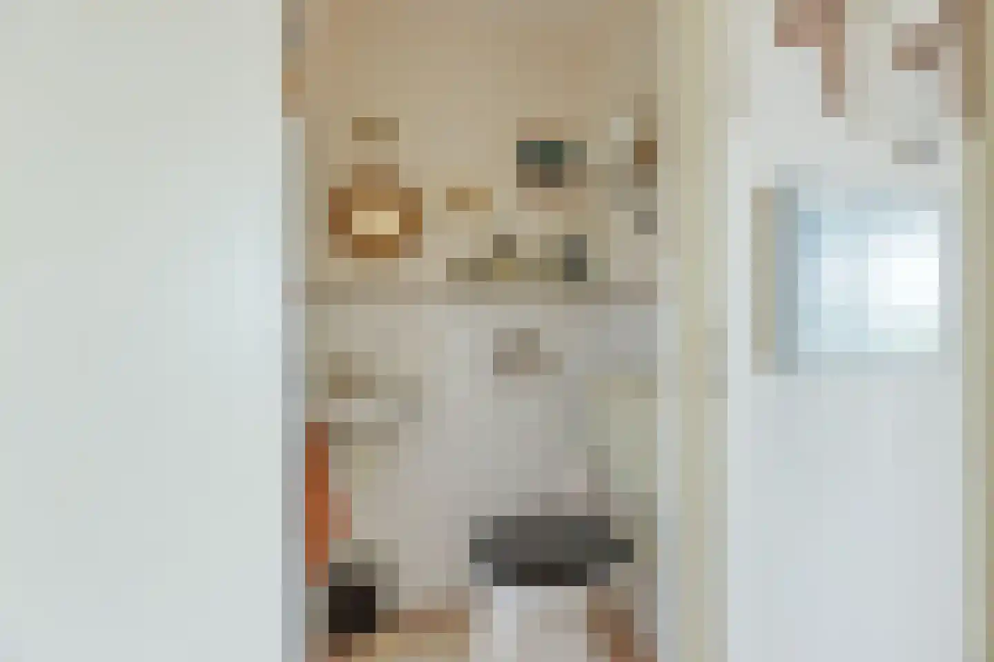Smaragdhorst 332 Den Haag thumbnail 21