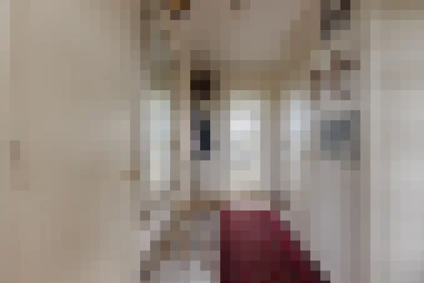 Smaragdhorst 332 Den Haag thumbnail 23