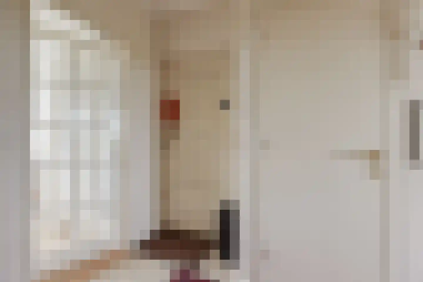 Smaragdhorst 332 Den Haag thumbnail 24