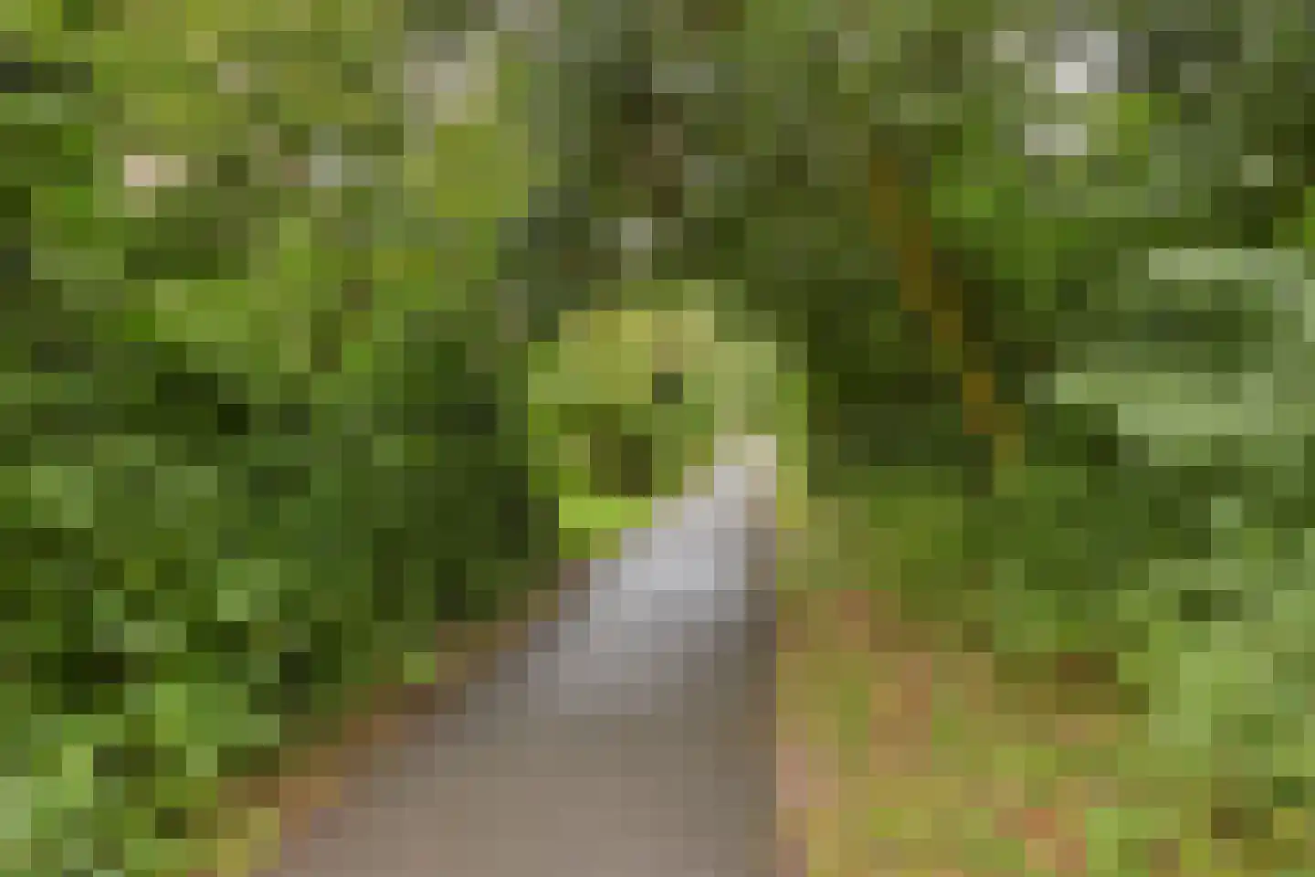 Smaragdhorst 332 Den Haag thumbnail 30