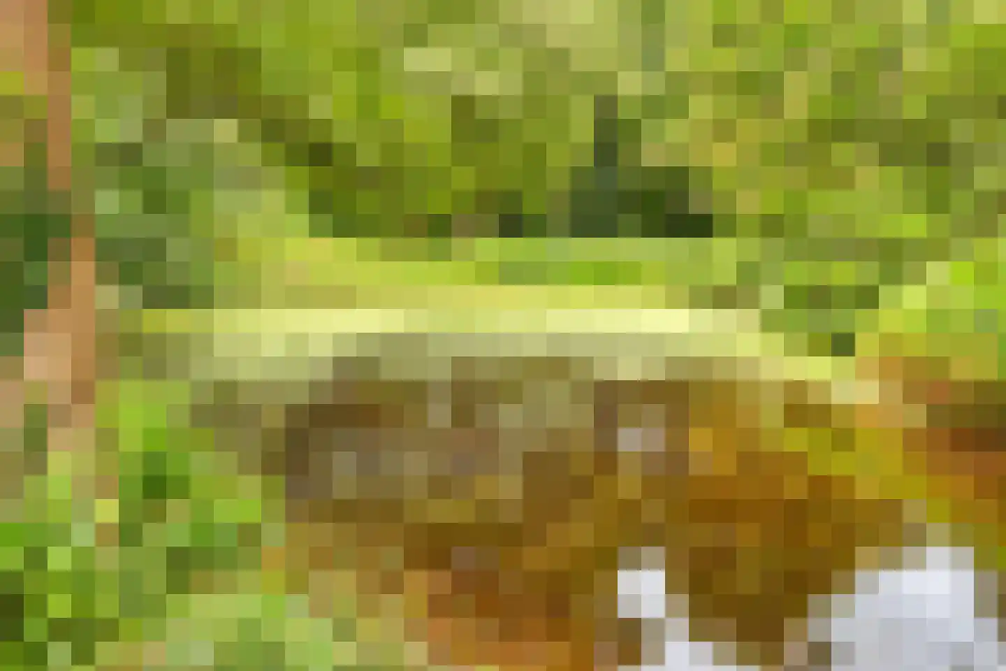 Smaragdhorst 332 Den Haag thumbnail 33