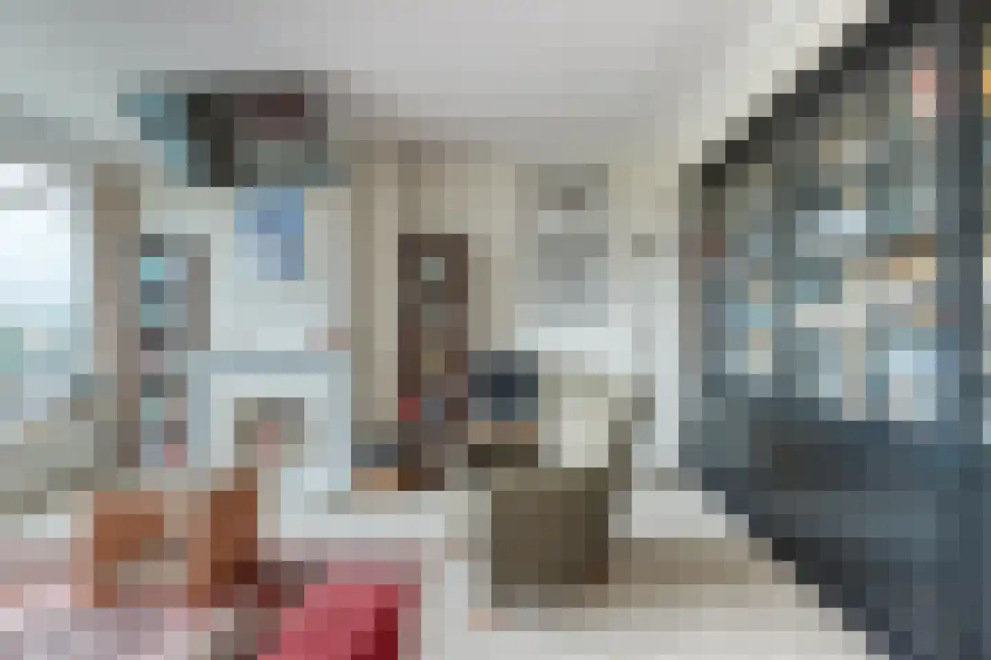 Smaragdhorst 332 Den Haag thumbnail 9