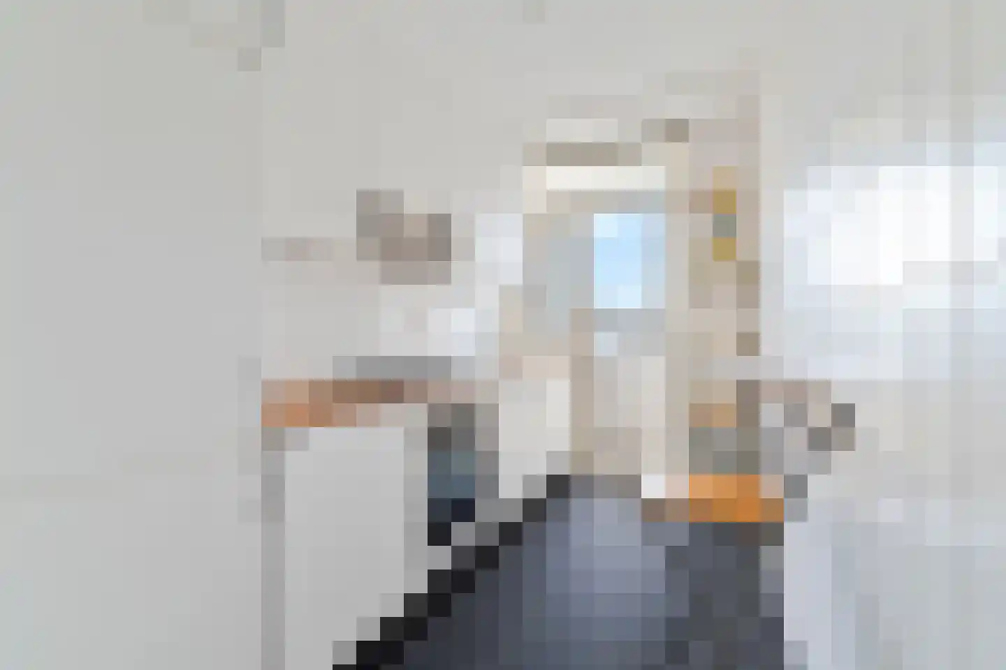 Smaragdhorst 375 Den Haag thumbnail 12