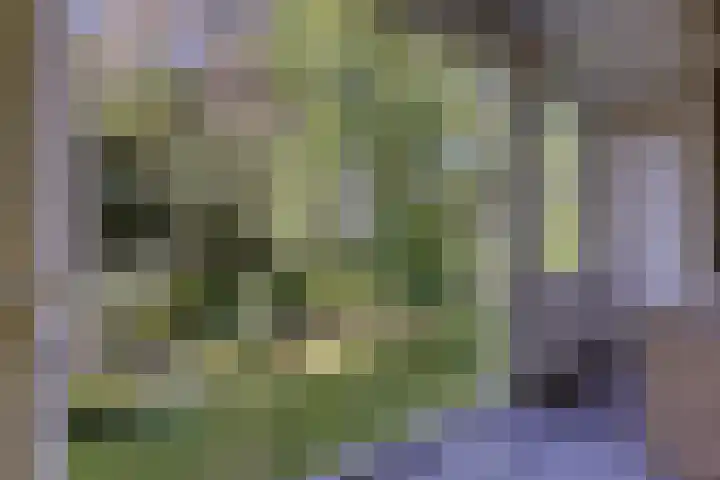 Smaragdhorst 413 Den Haag thumbnail 16