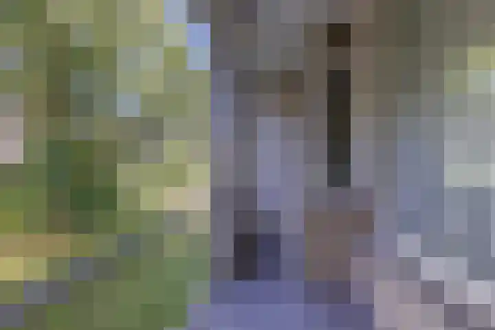 Smaragdhorst 413 Den Haag thumbnail 17