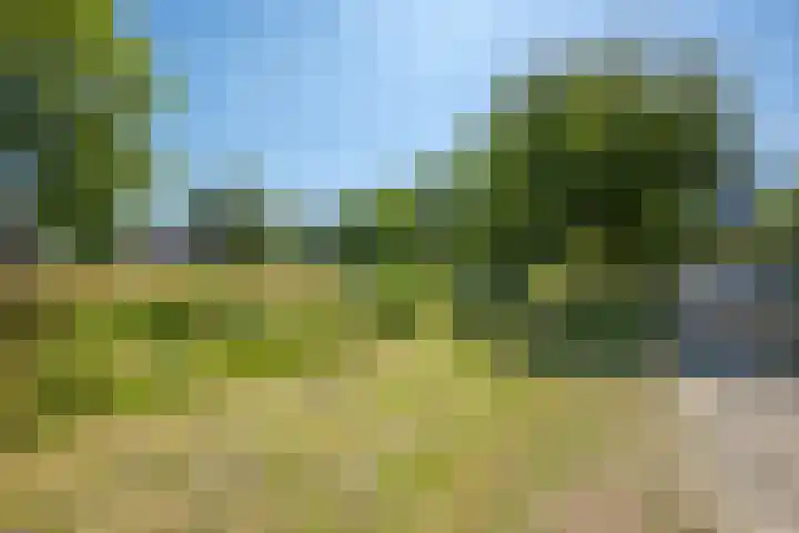 Smaragdhorst 413 Den Haag thumbnail 28