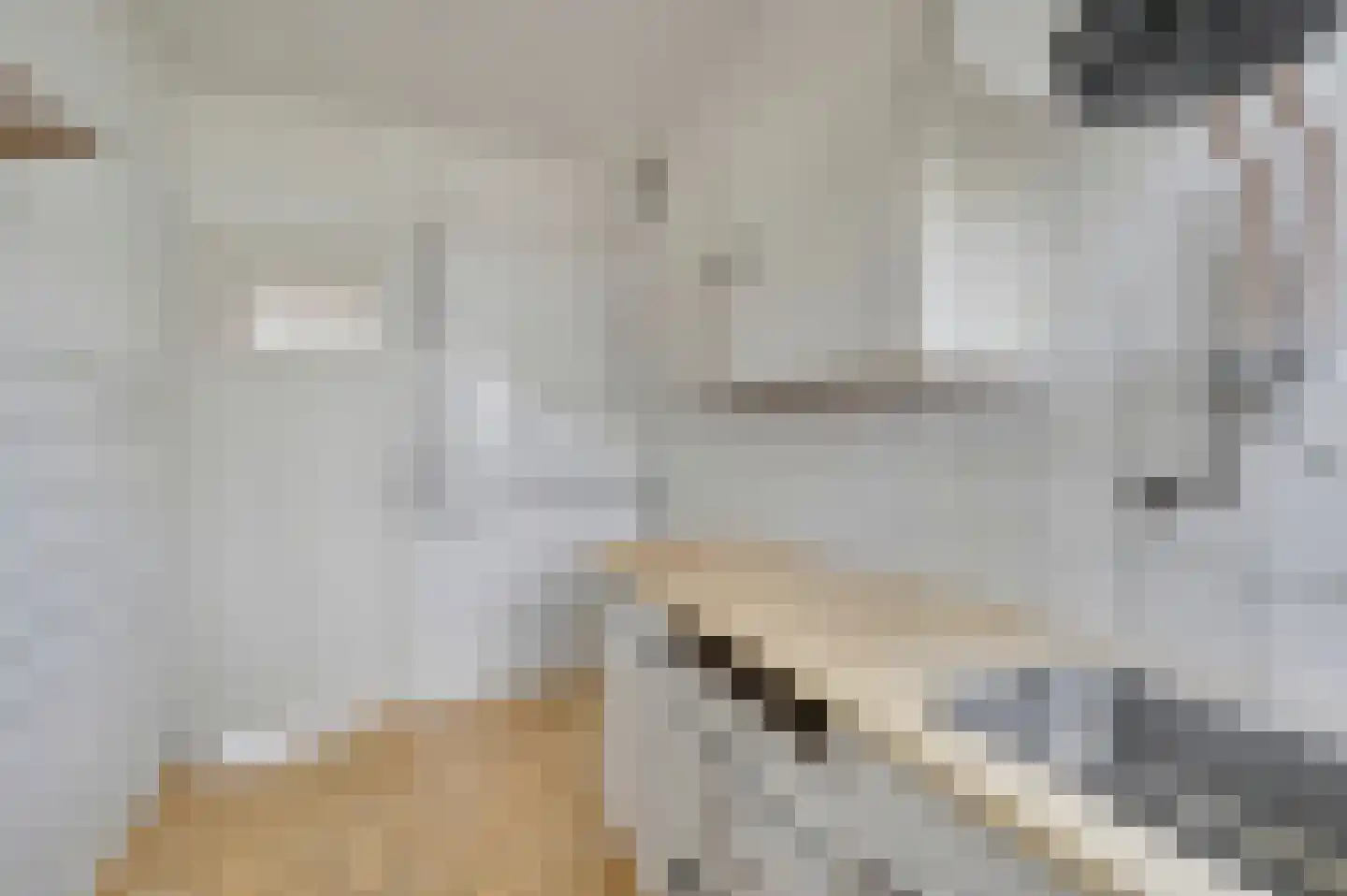 Smaragdhorst 43 Den Haag thumbnail 19