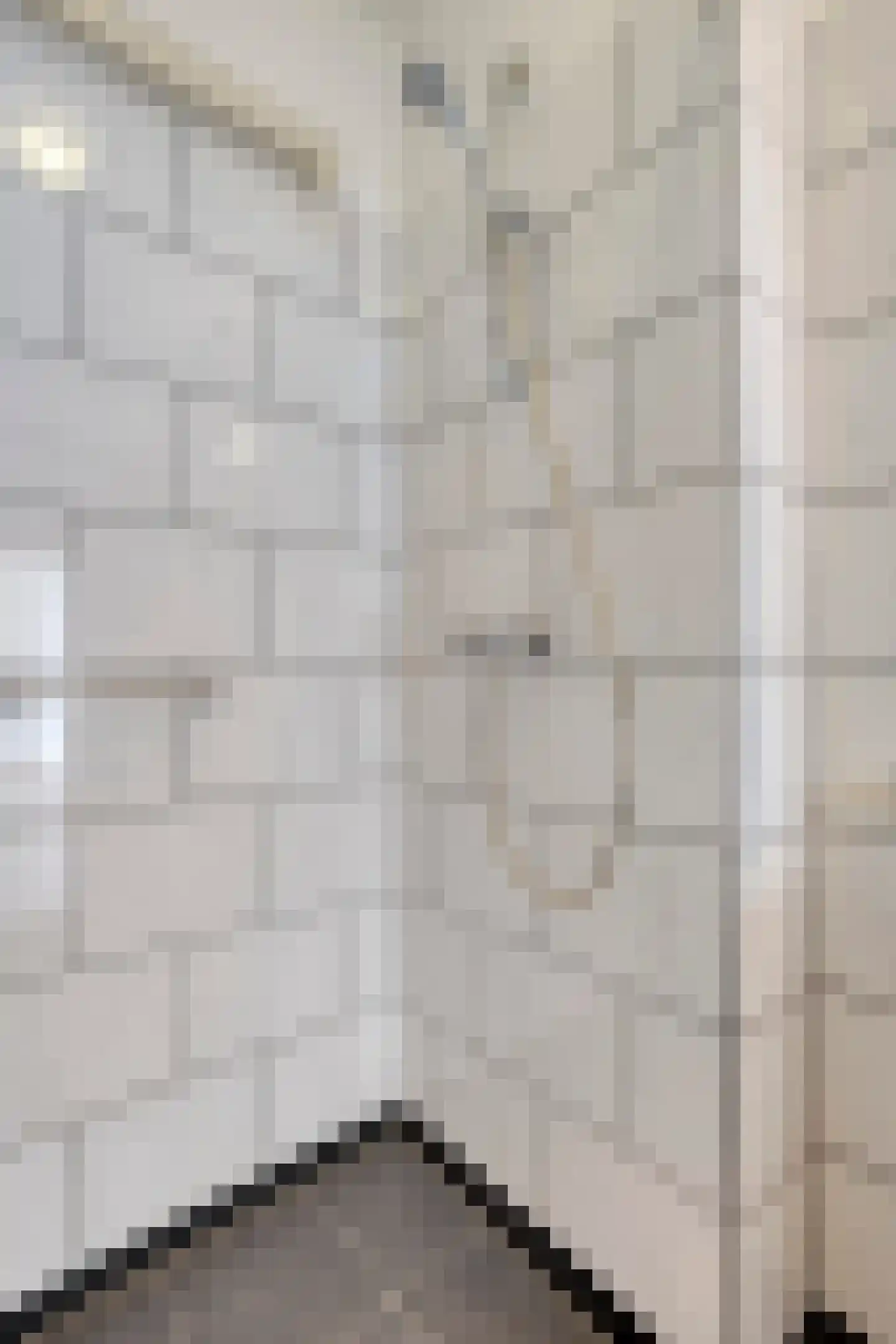 Smaragdhorst 439 Den Haag thumbnail 17