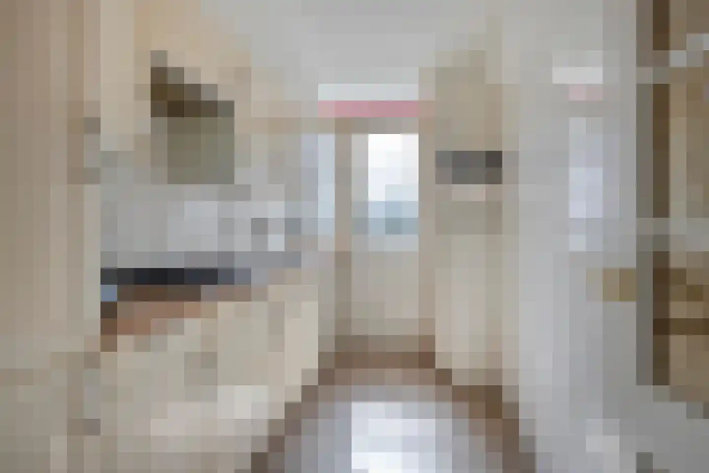 Smaragdhorst 439 Den Haag thumbnail 19