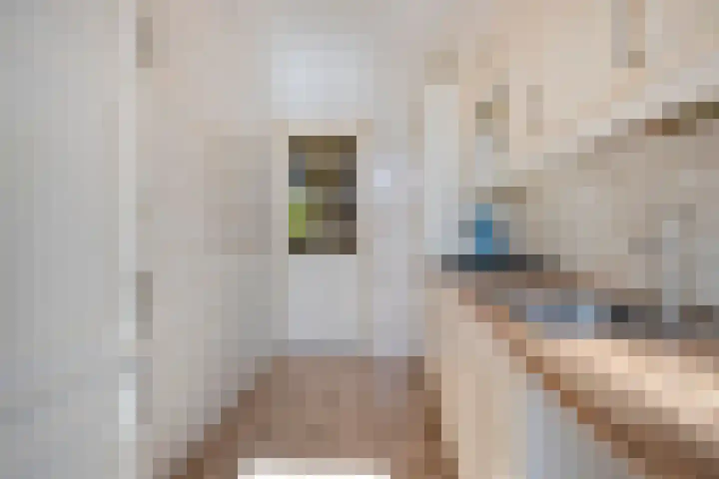 Smaragdhorst 439 Den Haag thumbnail 20