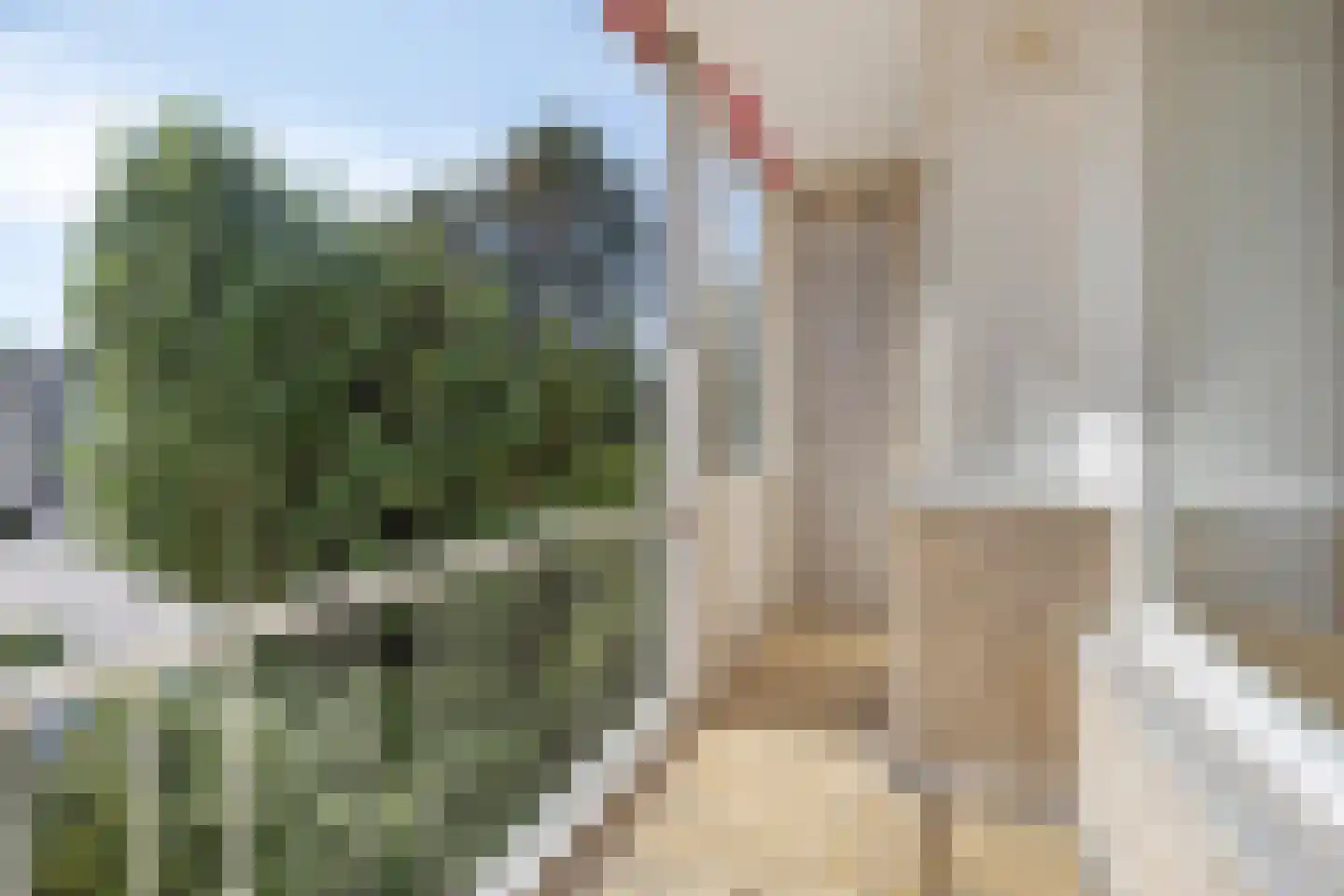 Smaragdhorst 439 Den Haag thumbnail 21