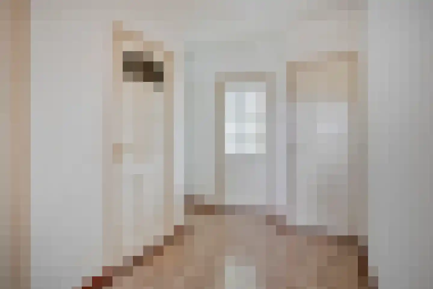 Smaragdhorst 439 Den Haag thumbnail 8