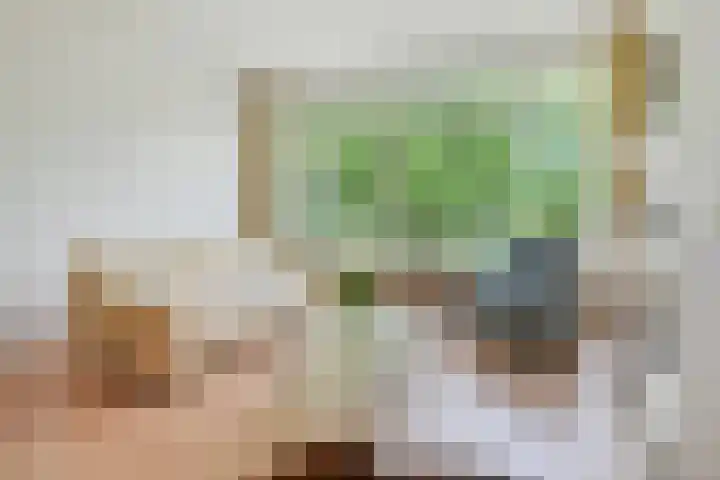 Smaragdhorst 74 Den Haag thumbnail 10