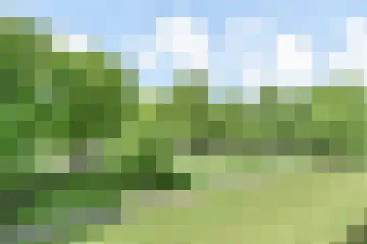 Smaragdhorst 74 Den Haag thumbnail 26