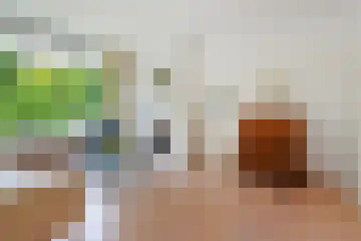 Smaragdhorst 74 Den Haag thumbnail 9