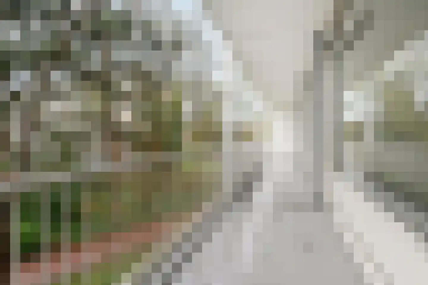 Smaragdhorst 8 Den Haag thumbnail 12