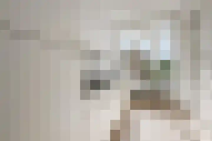 Smaragdhorst 94 Den Haag thumbnail 18