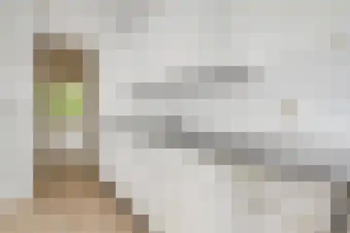 Smaragdhorst 94 Den Haag thumbnail 20