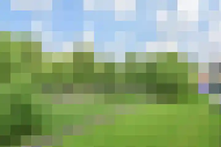 Smaragdhorst 94 Den Haag thumbnail 8