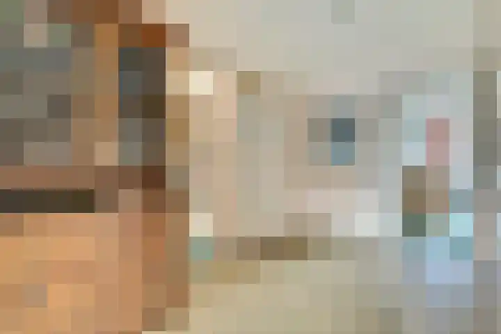 Smaragdhorst 96 Den Haag thumbnail 6