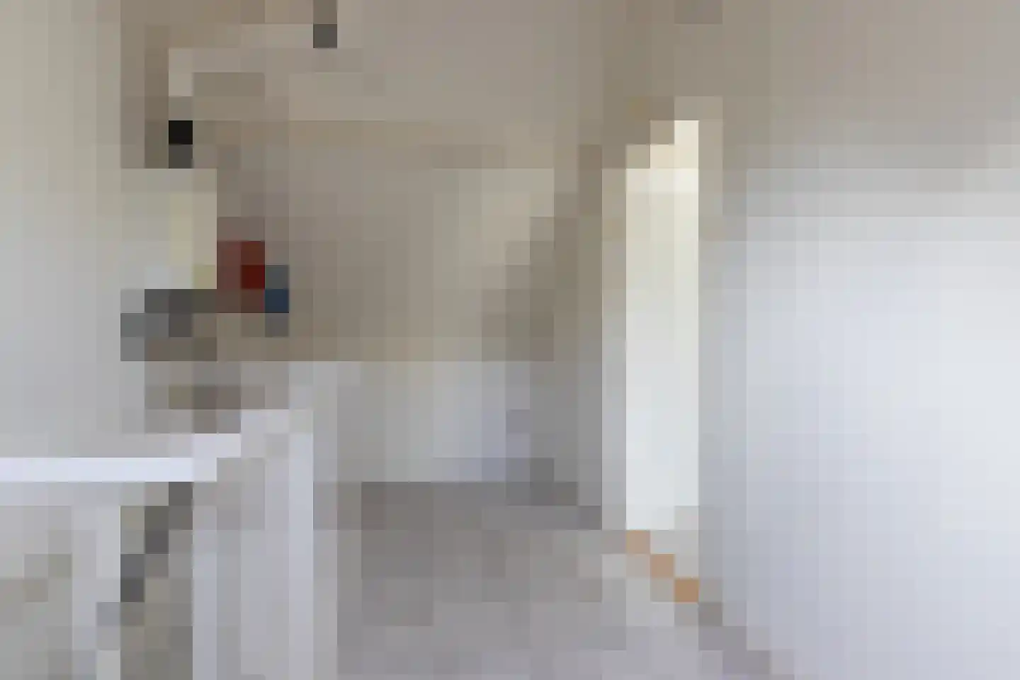 Smaragdlaan 350 Leiden thumbnail 21