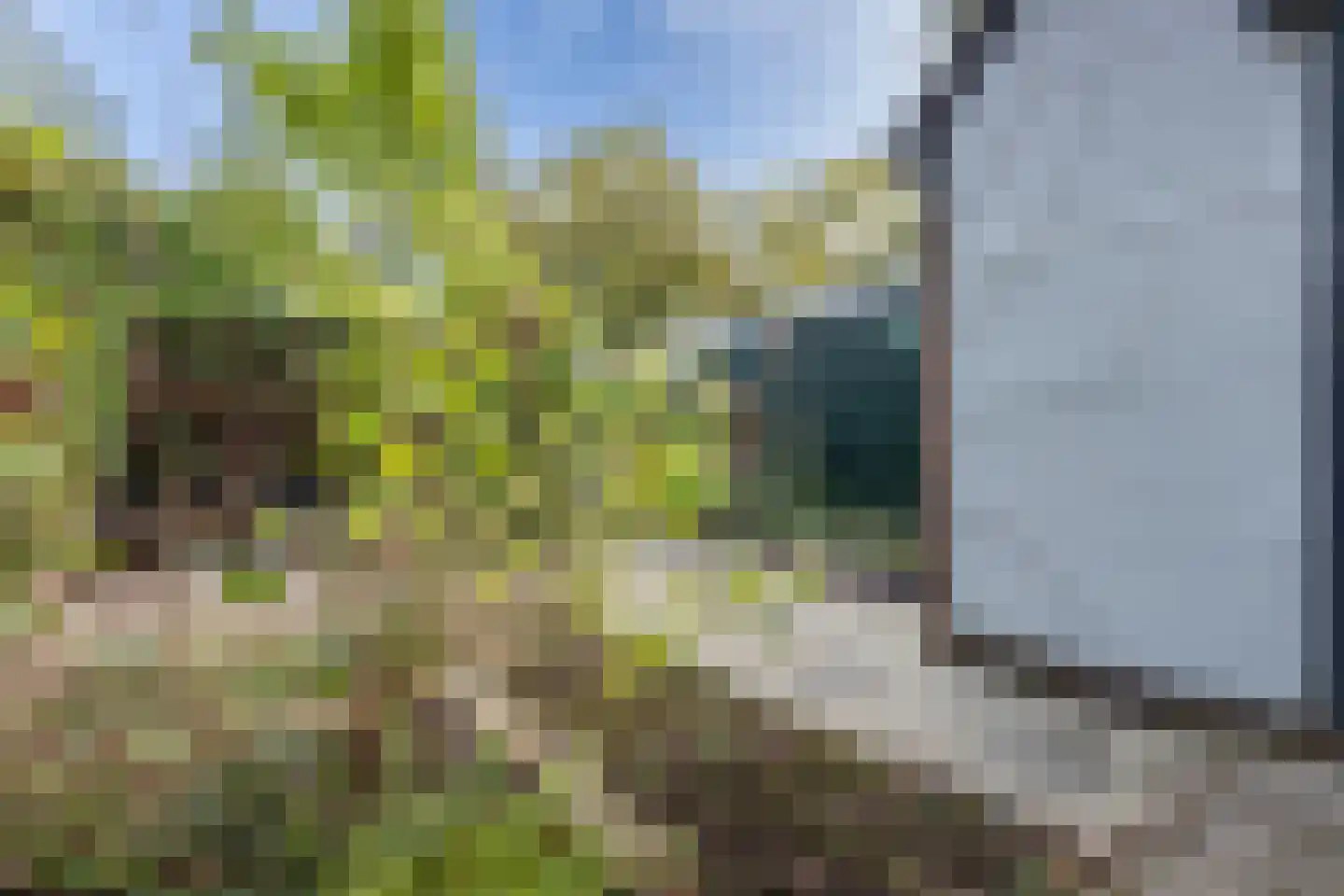 Smaragdlaan 350 Leiden thumbnail 23