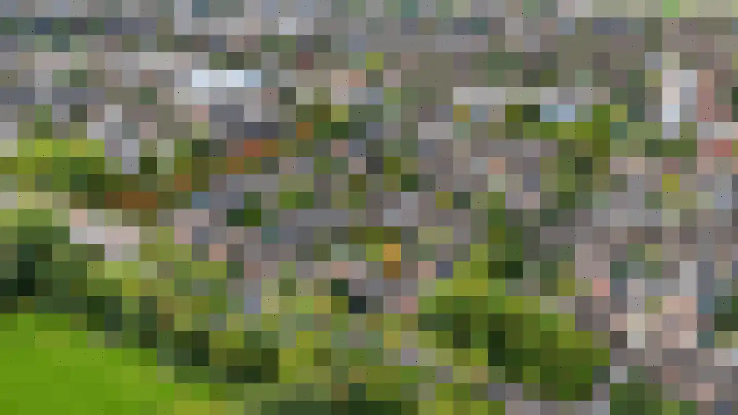 Smaragdlaan 350 Leiden thumbnail 4