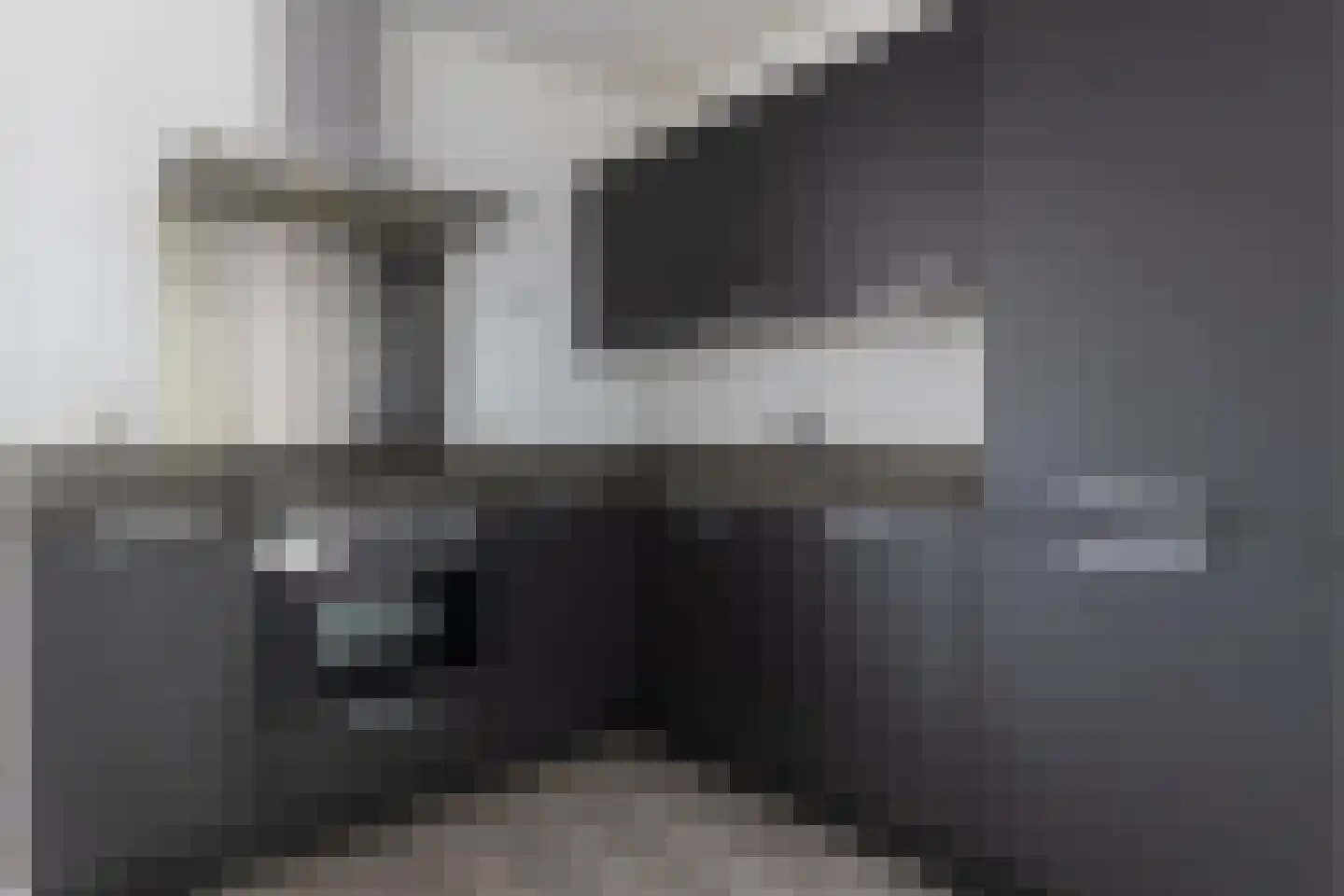 Smaragdlaan 350 Leiden thumbnail 7