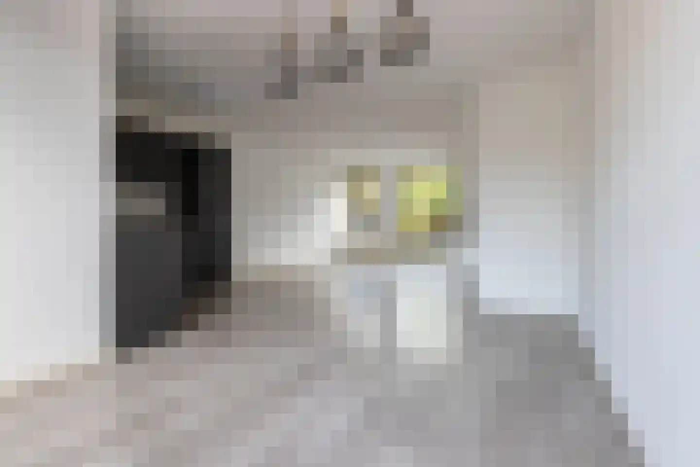 Smaragdlaan 350 Leiden thumbnail 8