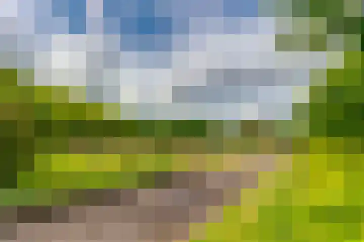 Smaragdplein 183 Utrecht thumbnail 33